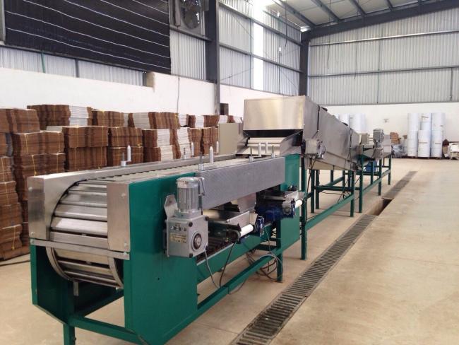 Used Zaizer produce washing, waxing, drying and grading conveyor for ...