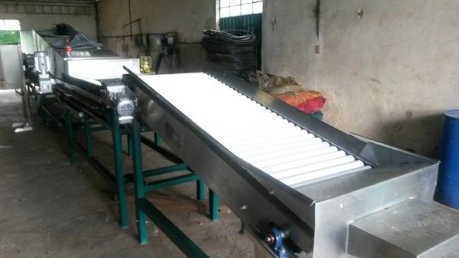 Used Zaizer produce washing, waxing, drying and grading conveyor for ...